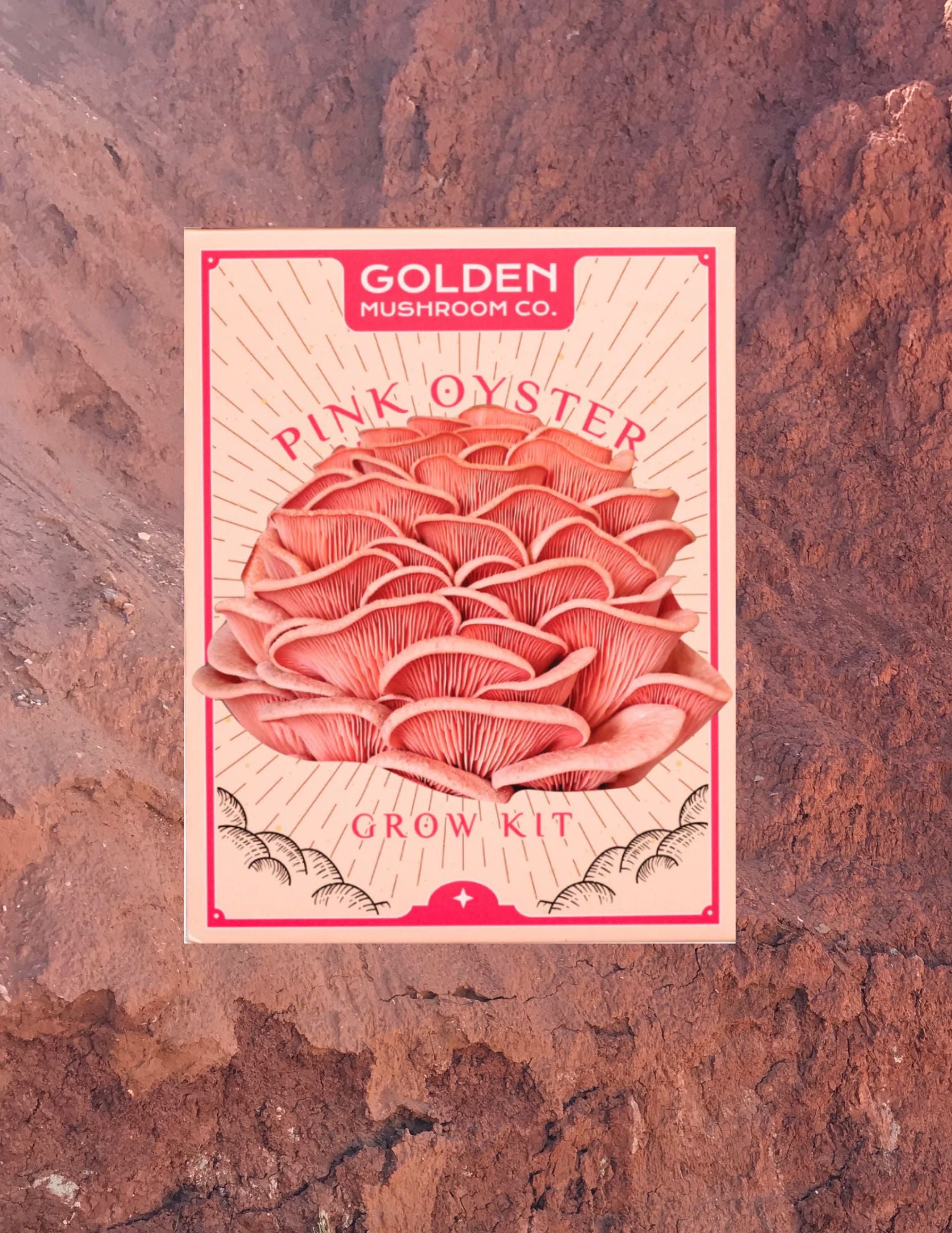 Pink Oyster Mushroom Grow Kit