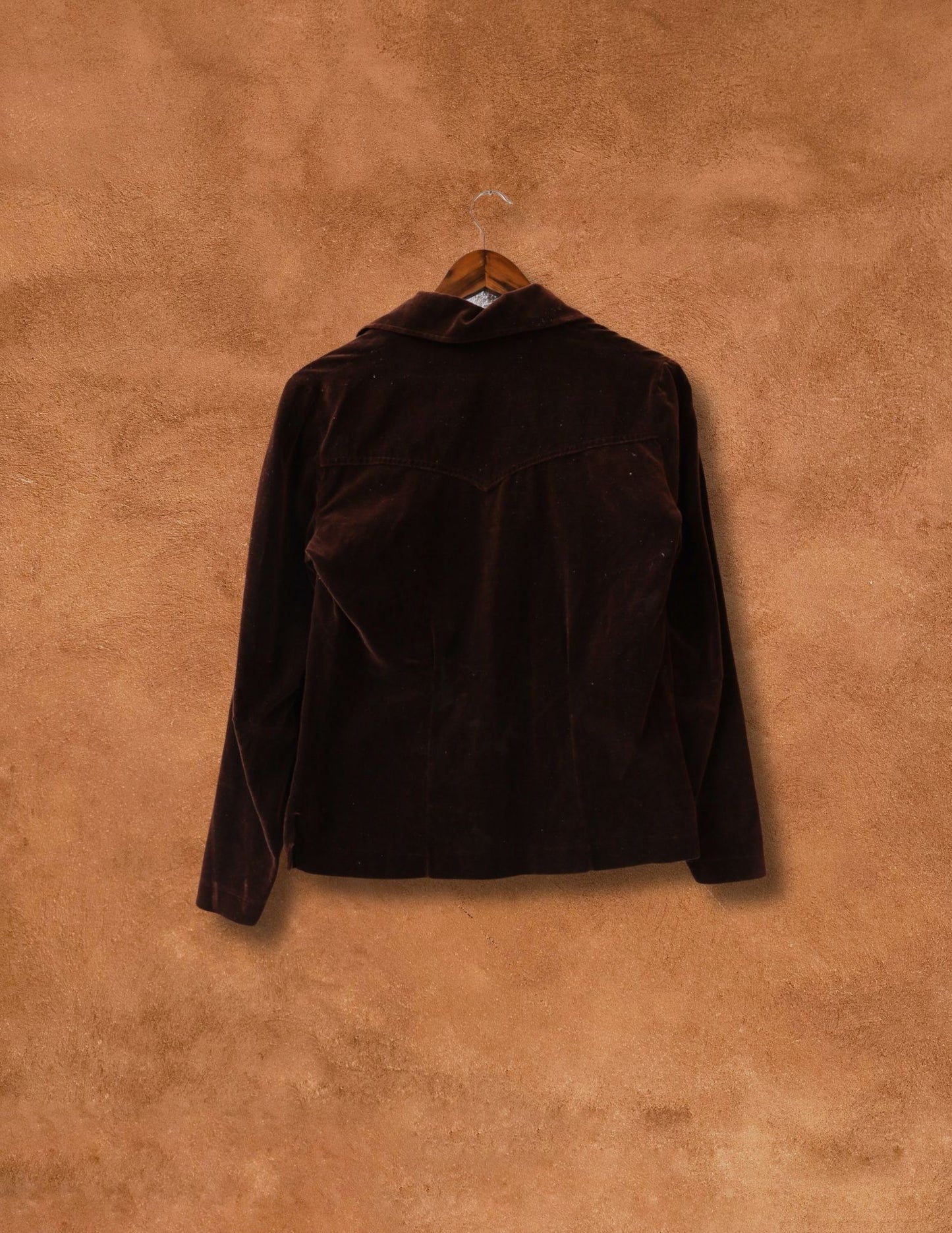 Vintage Velvet Top