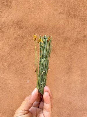 Wild Foraged Navajo Tea Bundles