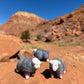 Navajo Made Dibé (Sheep) Figurine- Blue Fleck