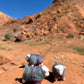 Navajo Made Dibé (Sheep) Figurine- Blue Fleck