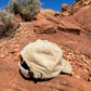 4KINSHIP Thundercloud Cordoroy Hat - Sandstone