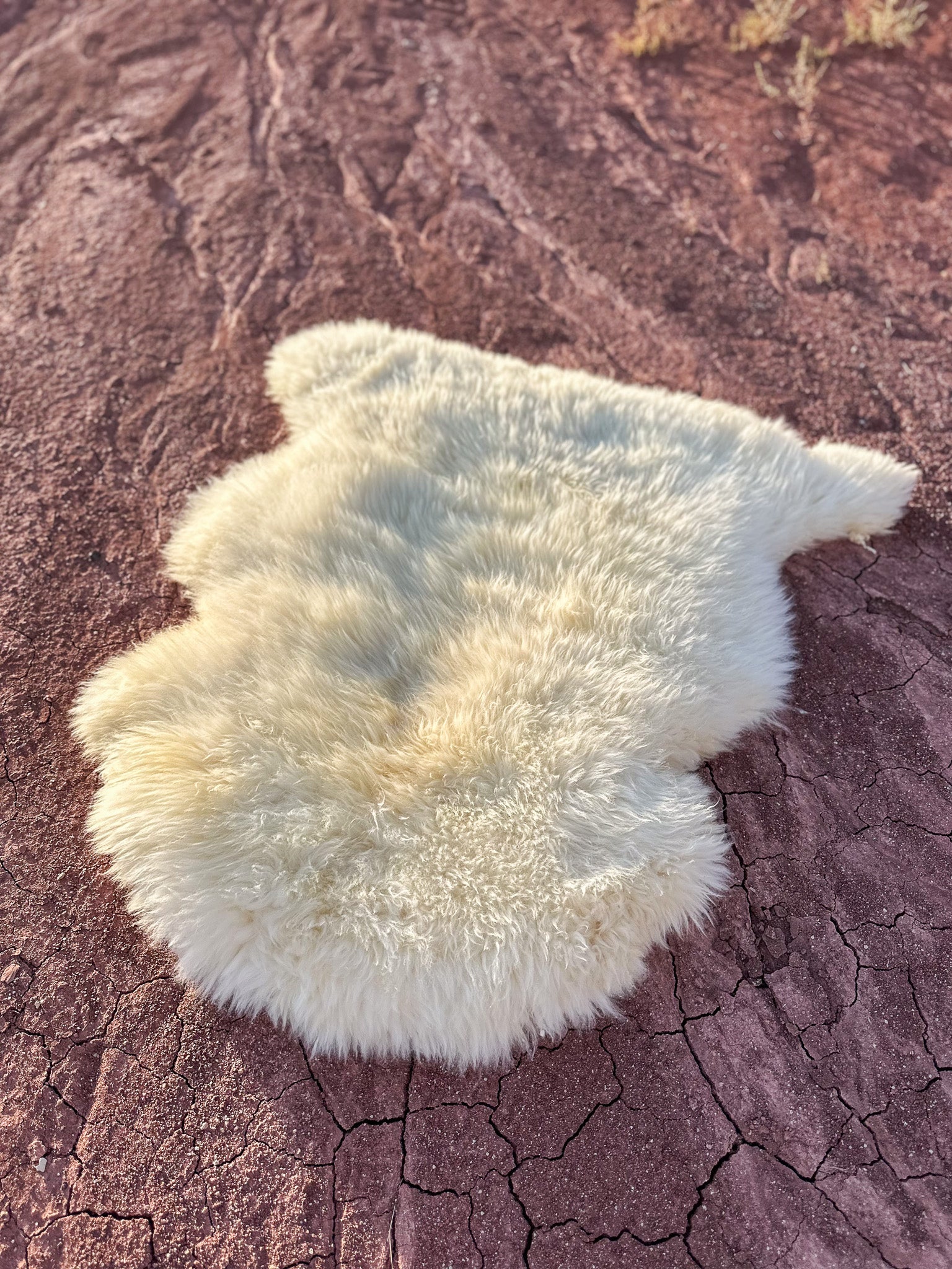 Sheepskin Hide- Dia