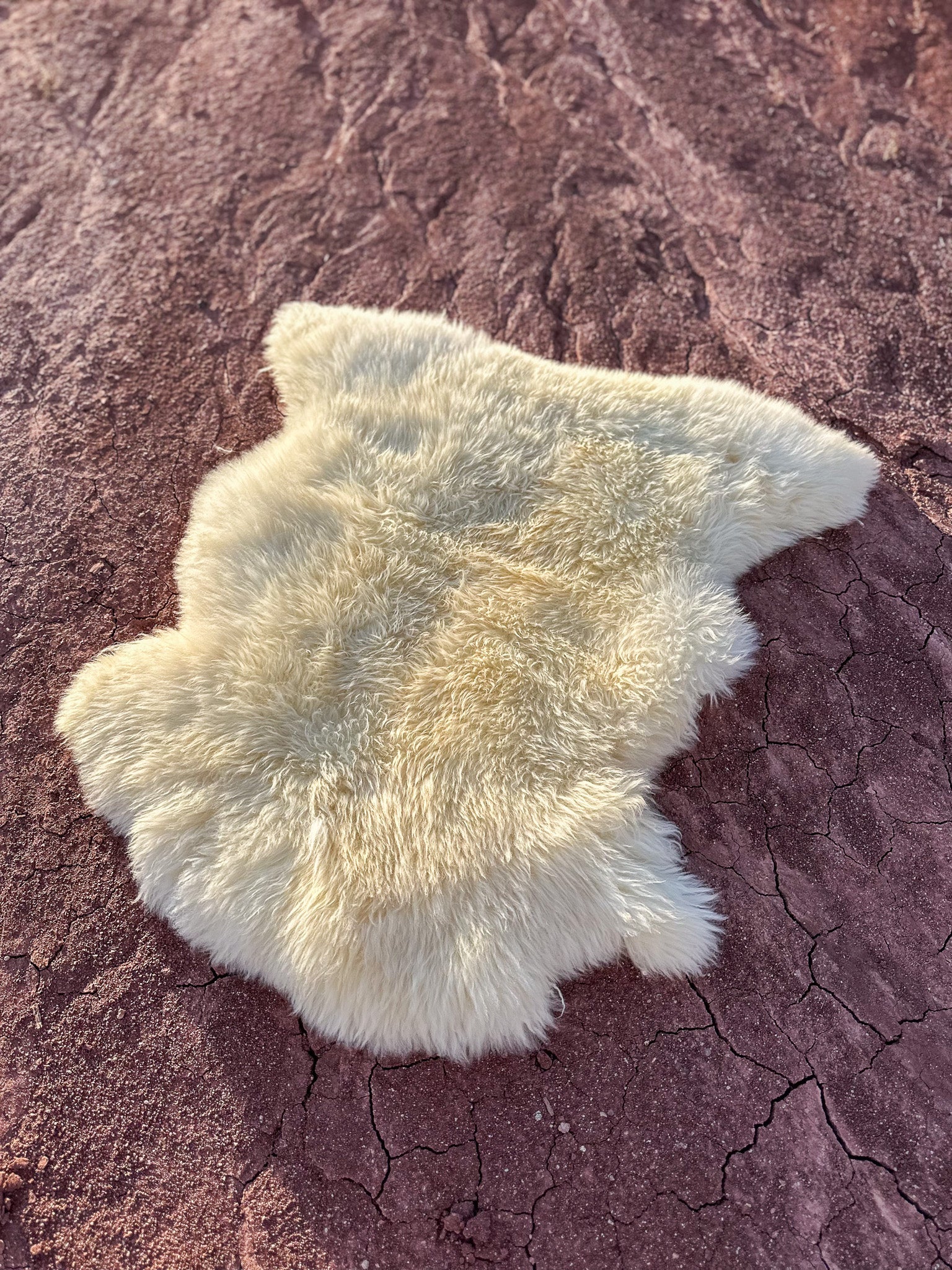 Sheepskin Hide- Este