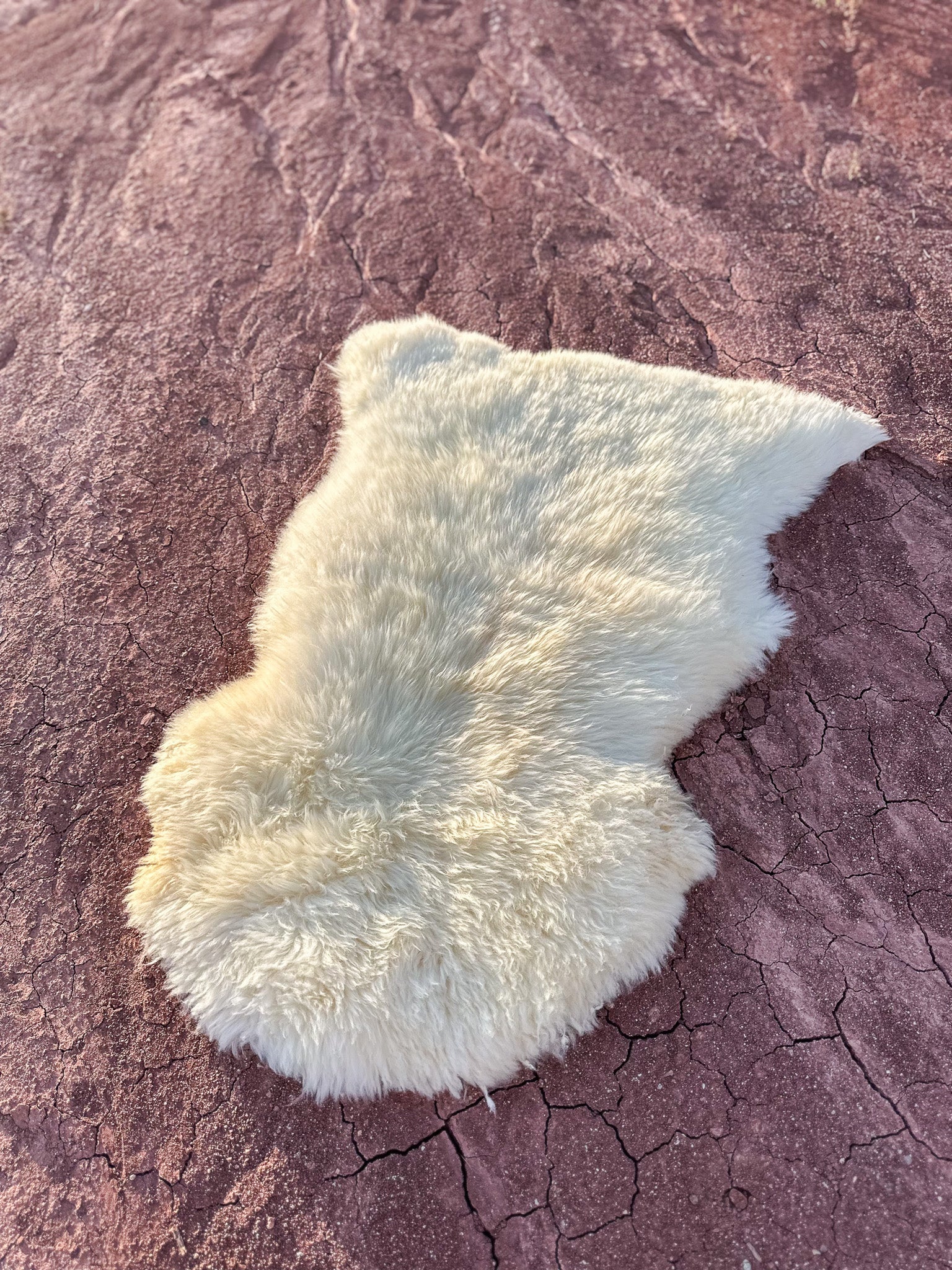 Sheepskin Hide- Vida