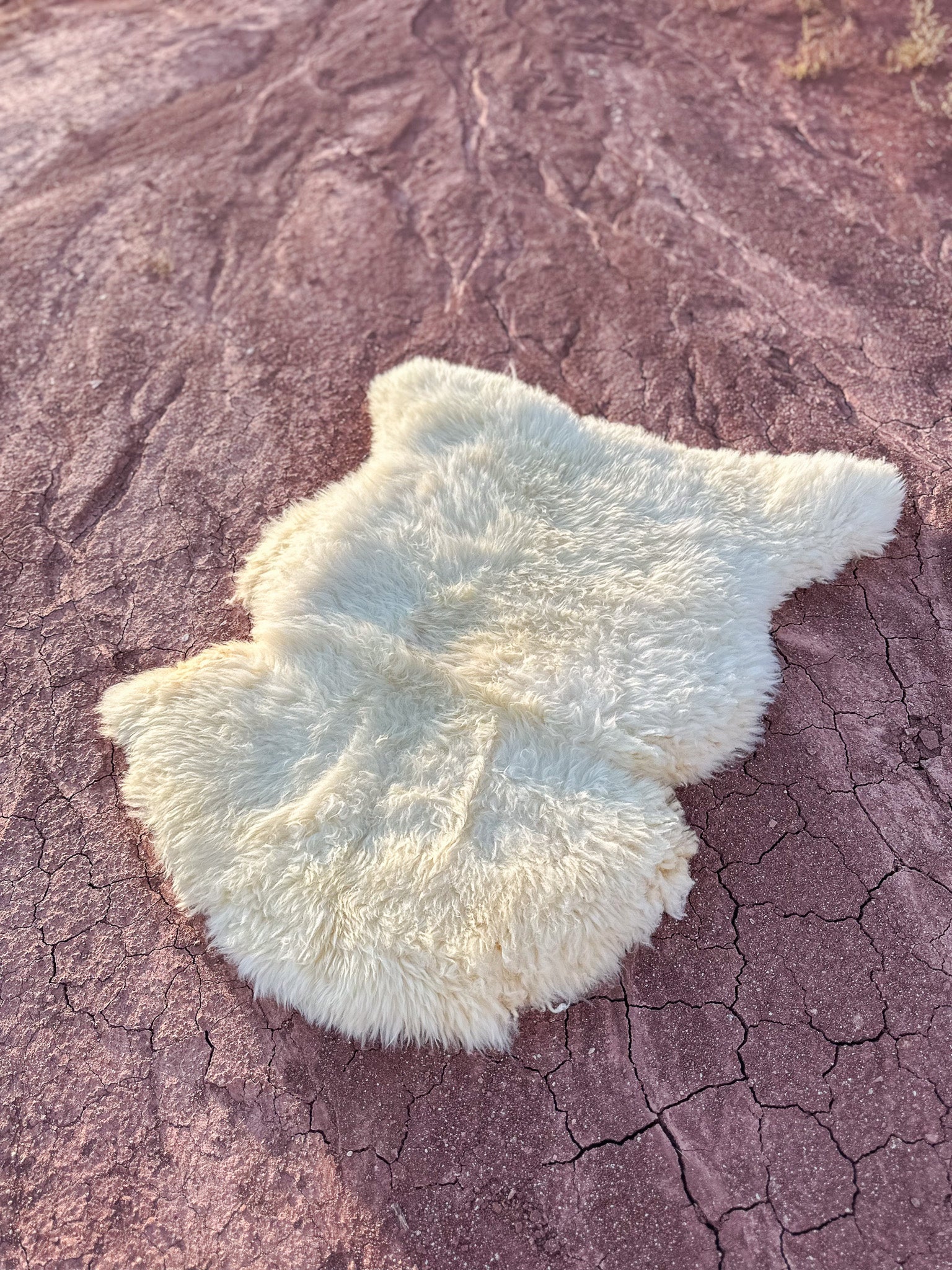 Sheepskin Hide- Kit