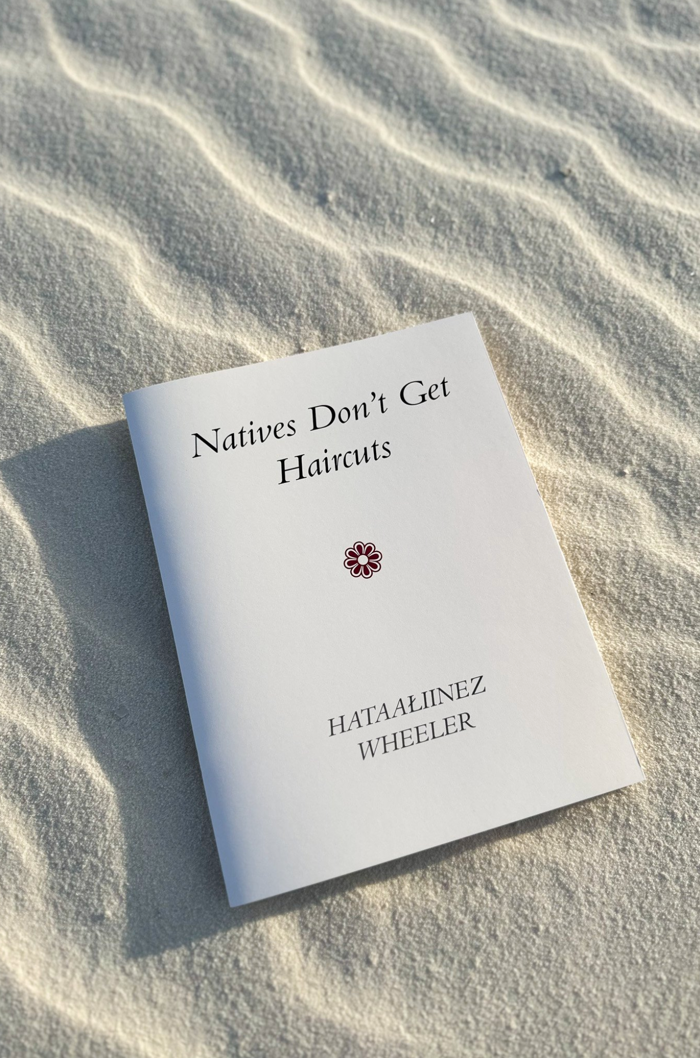 Natives Don't Get Haircuts by Hataaliinez Wheeler