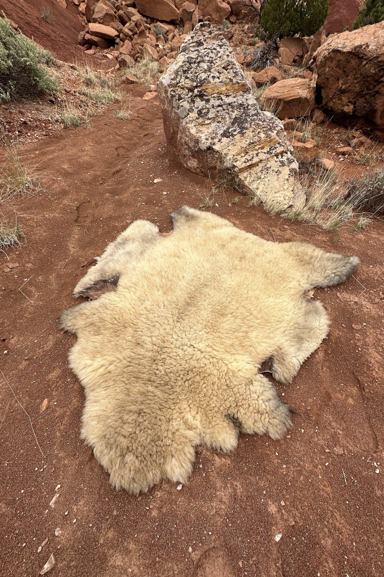 Bark Tanned Sheepskin-Maska