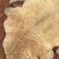 Bark Tanned Sheepskin-Maska