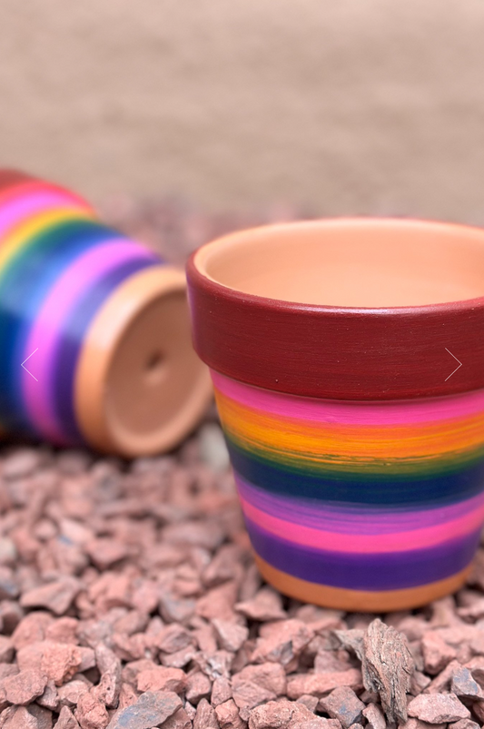 Nááts'íilid (Rainbow) Hand Painted Plant Pot